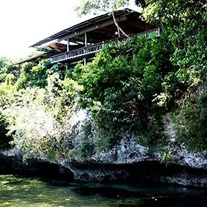 https://bohol-bee-farm.hotelspanglao.com